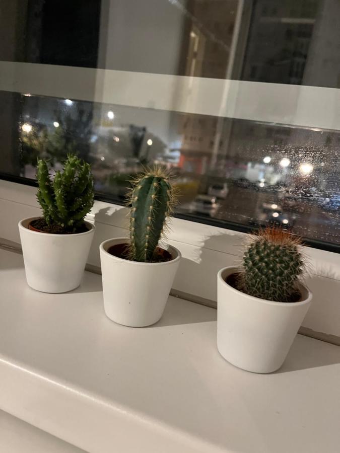 Studio Ana Belville Beograd Eksteriør bilde